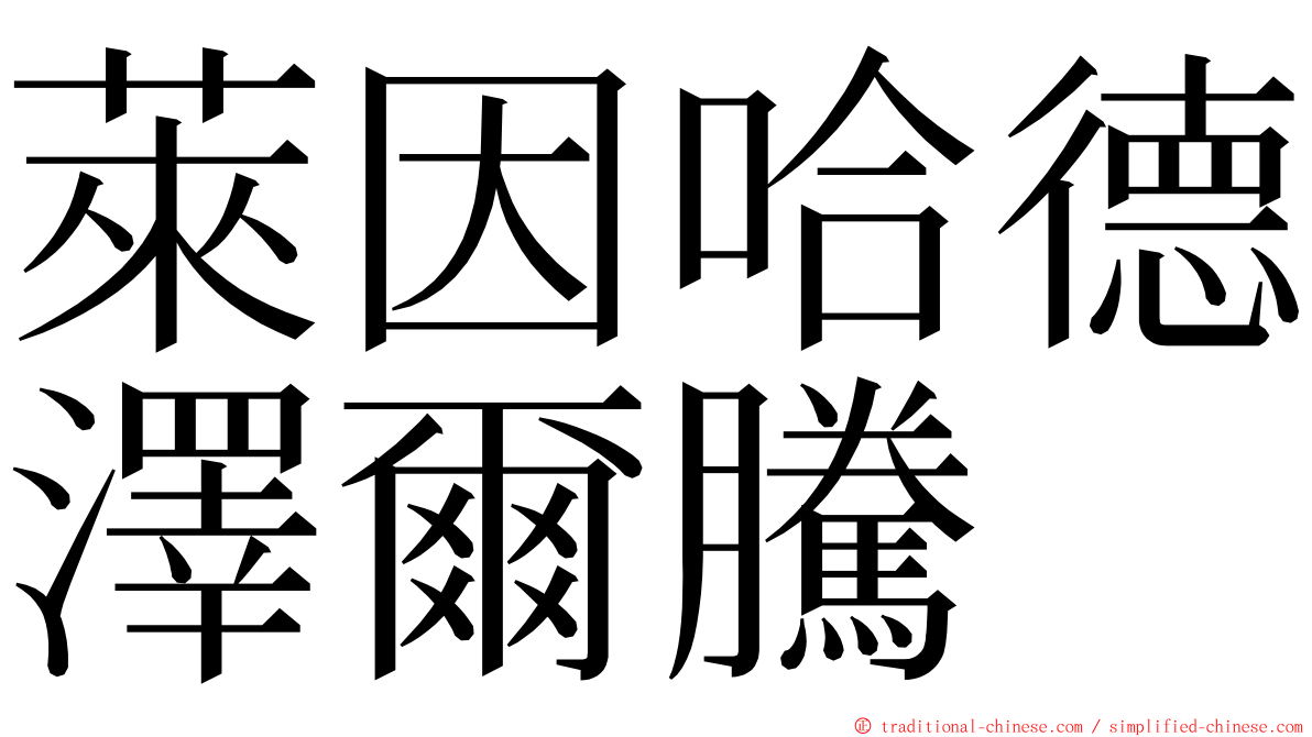 萊因哈德澤爾騰 ming font