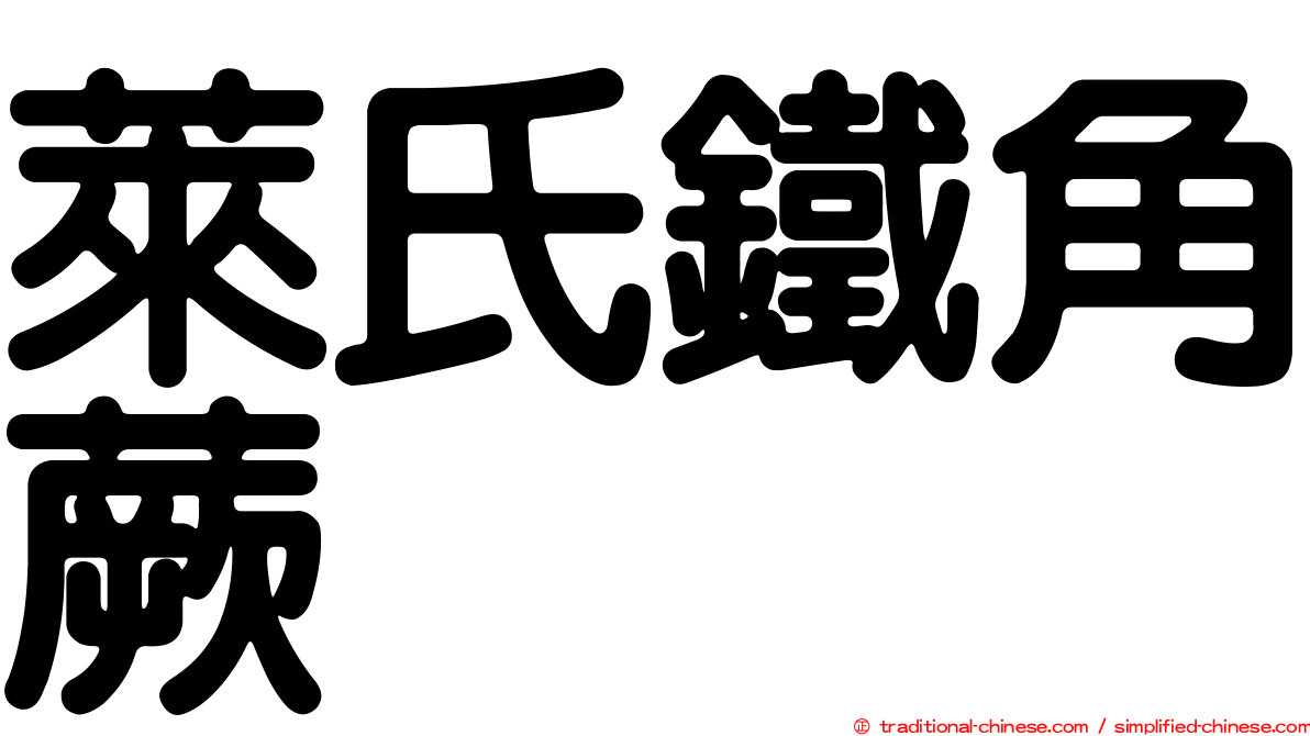 萊氏鐵角蕨