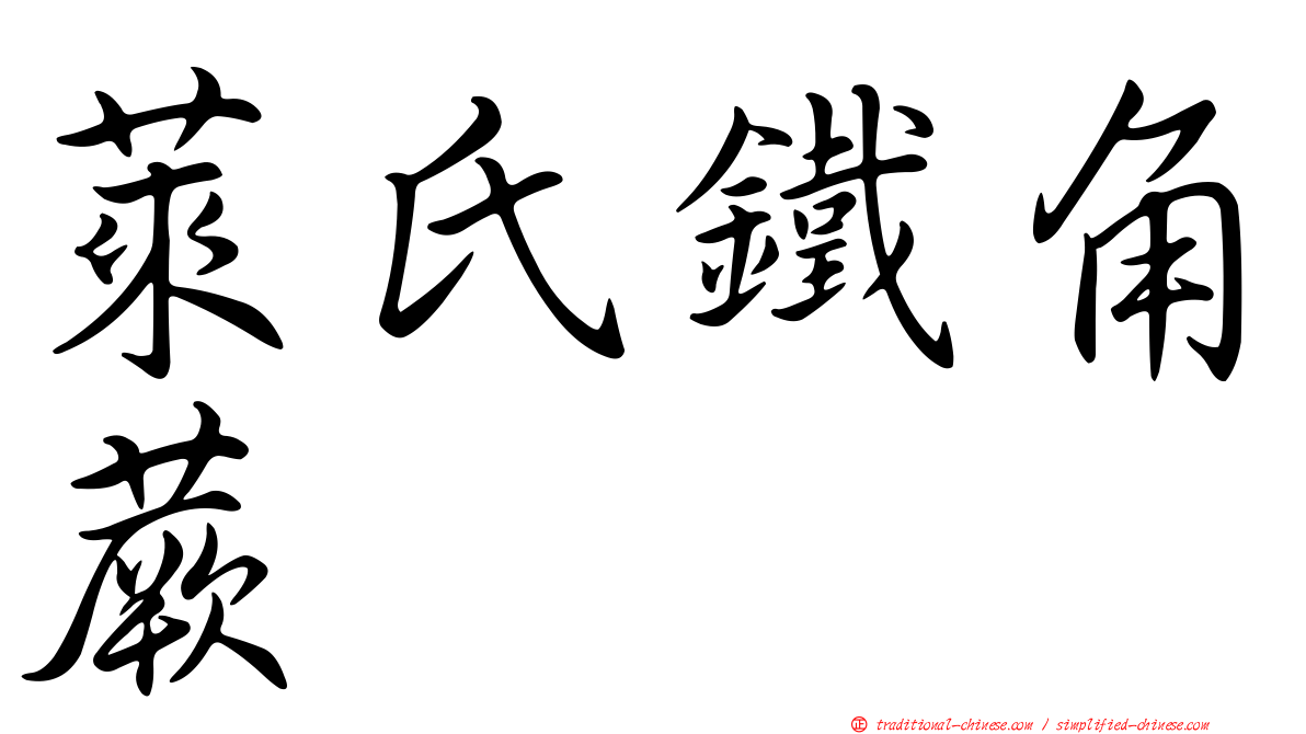 萊氏鐵角蕨