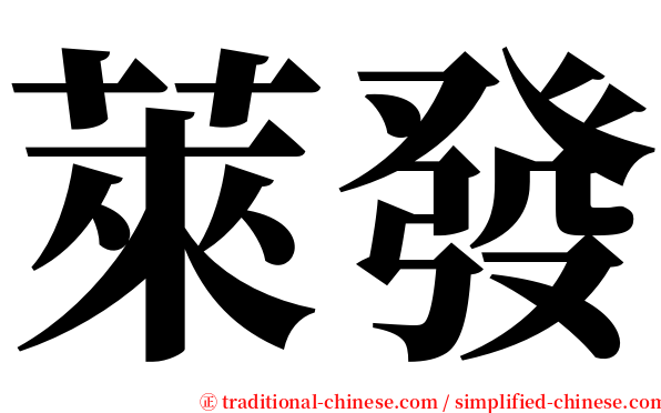 萊發 serif font