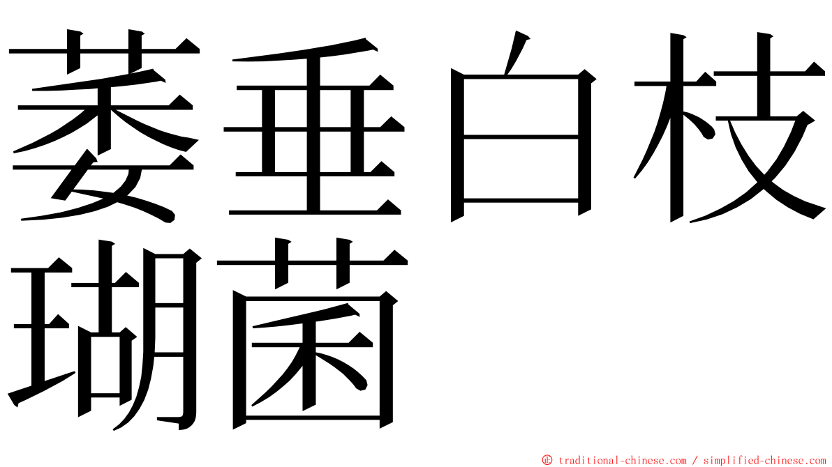 萎垂白枝瑚菌 ming font