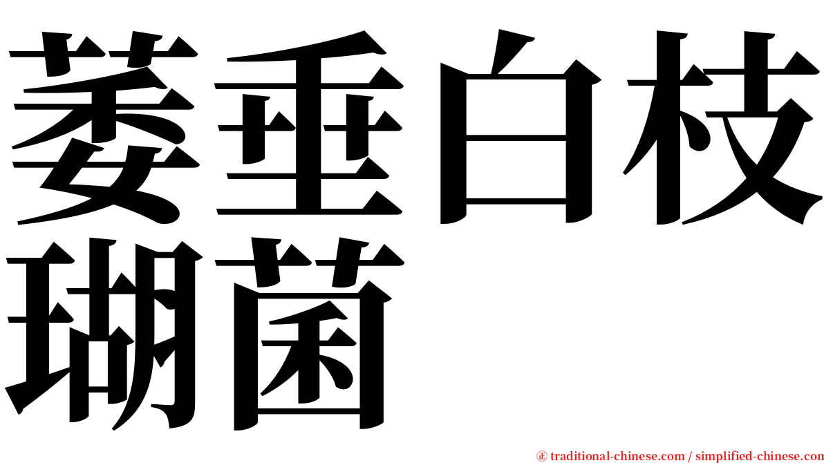 萎垂白枝瑚菌 serif font