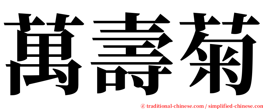 萬壽菊 serif font