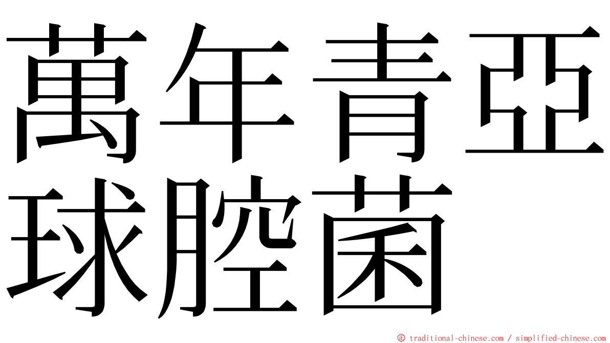 萬年青亞球腔菌 ming font
