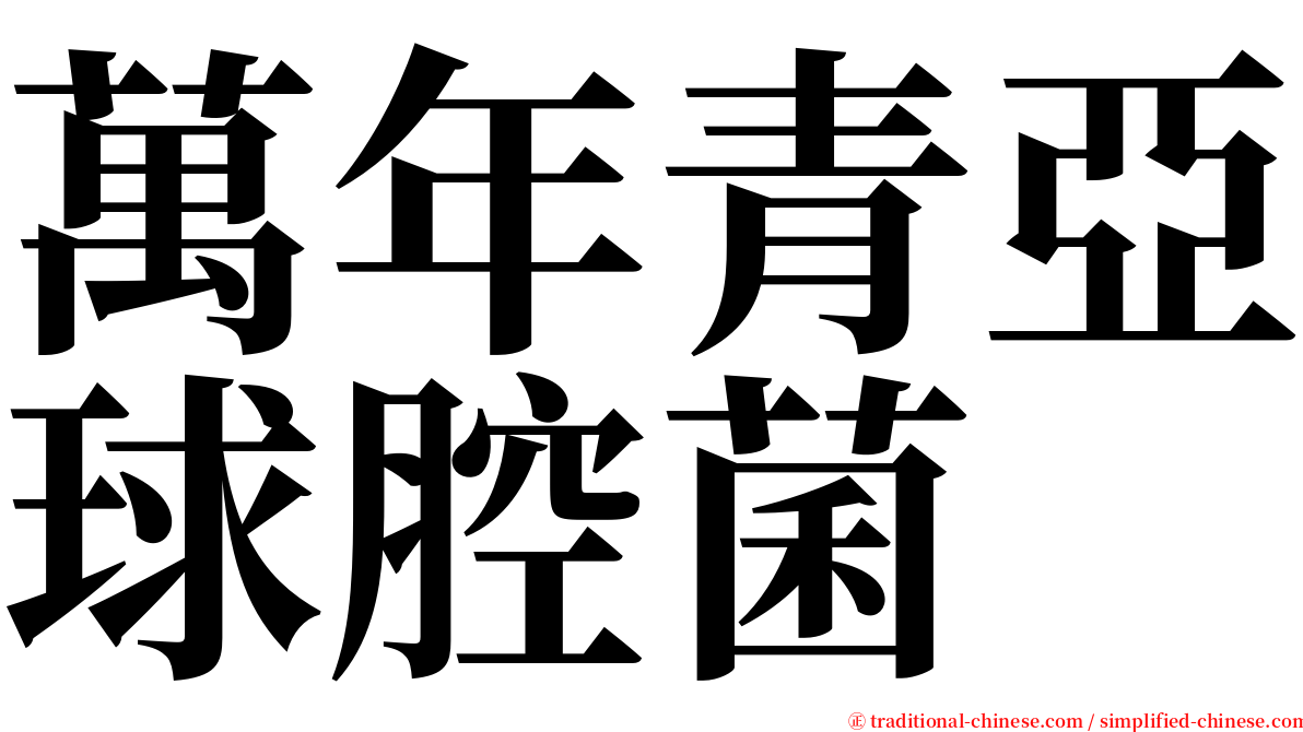 萬年青亞球腔菌 serif font