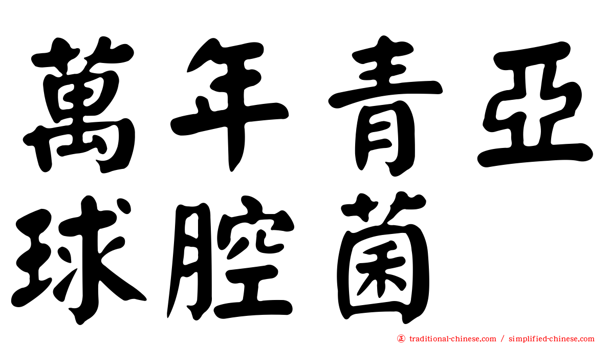 萬年青亞球腔菌