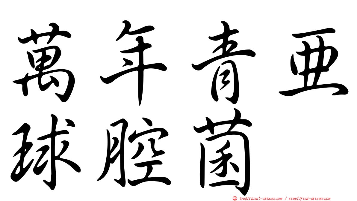 萬年青亞球腔菌