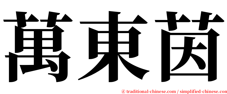 萬東茵 serif font