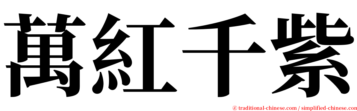 萬紅千紫 serif font