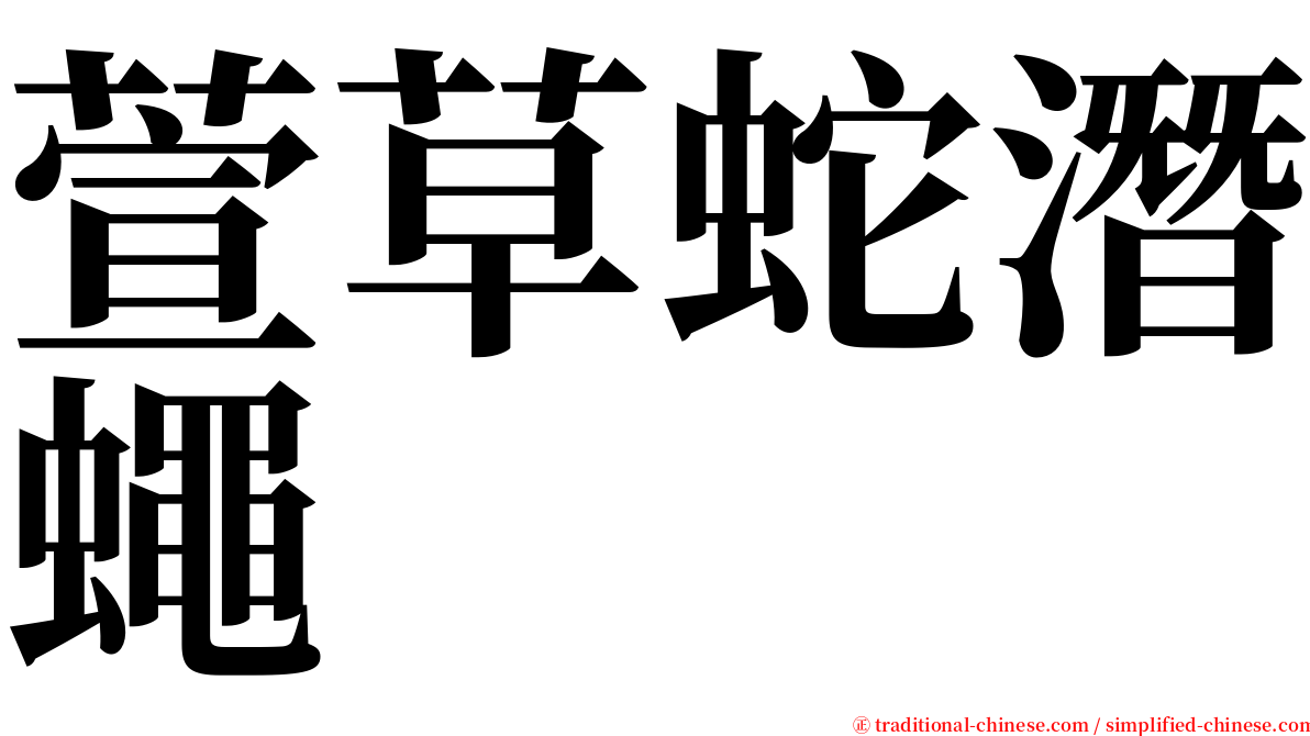 萱草蛇潛蠅 serif font