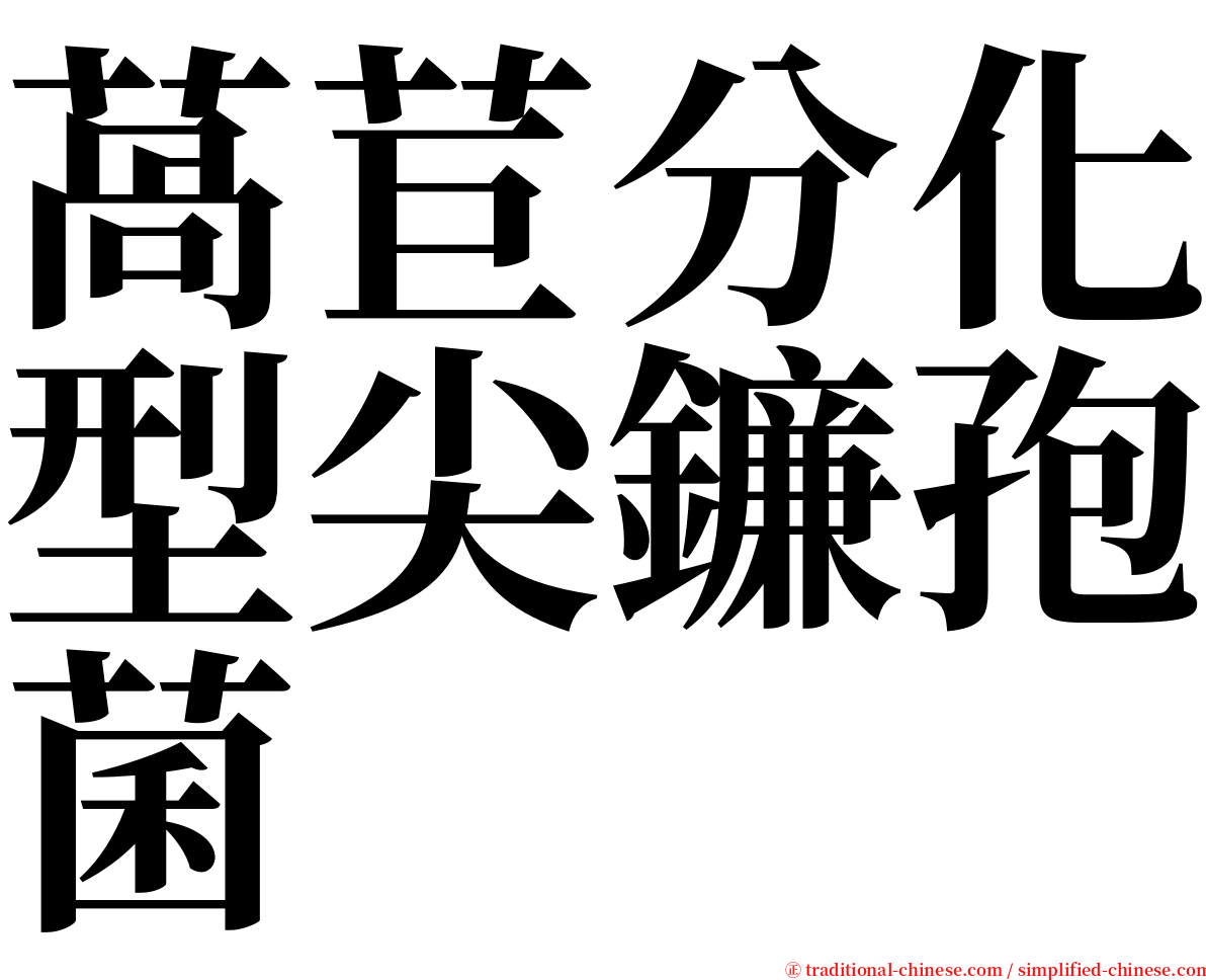 萵苣分化型尖鐮孢菌 serif font