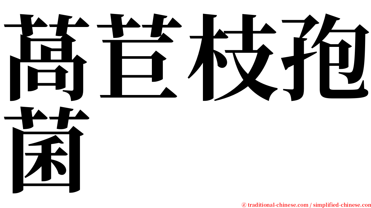 萵苣枝孢菌 serif font