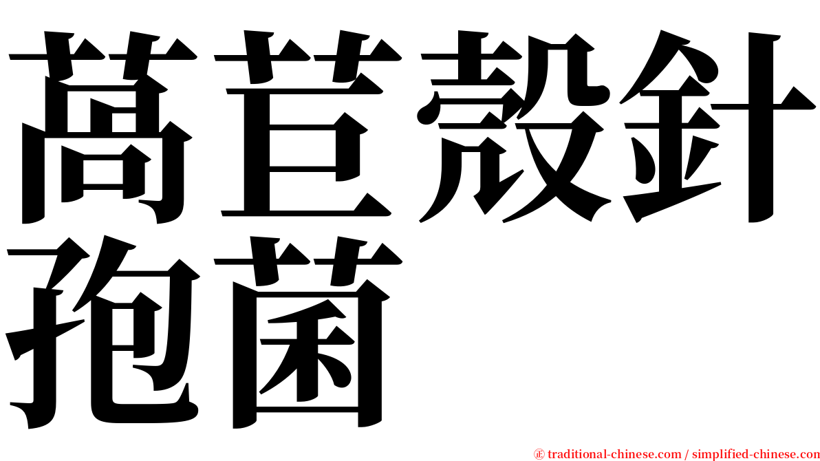 萵苣殼針孢菌 serif font