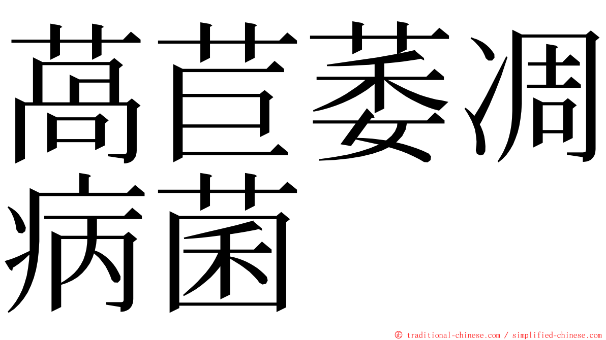 萵苣萎凋病菌 ming font