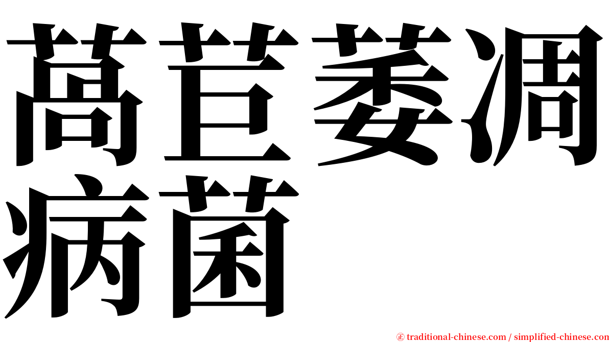 萵苣萎凋病菌 serif font