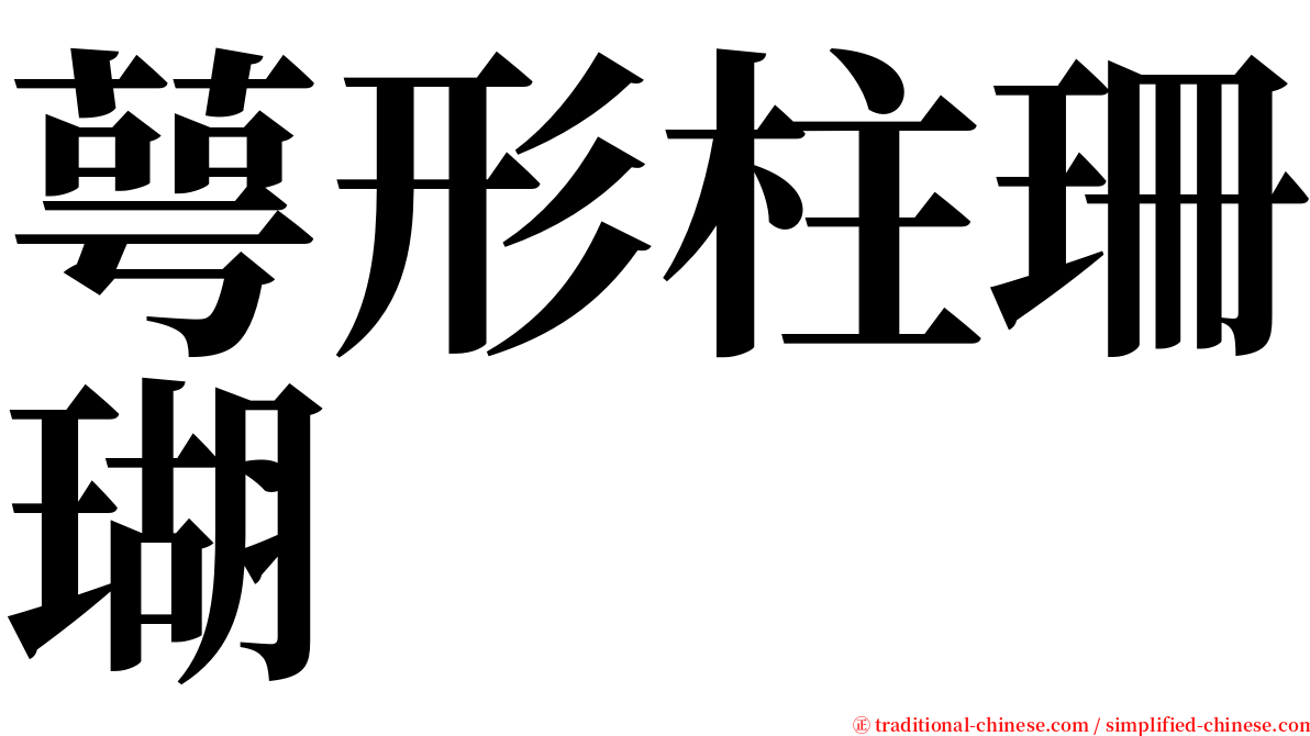 萼形柱珊瑚 serif font