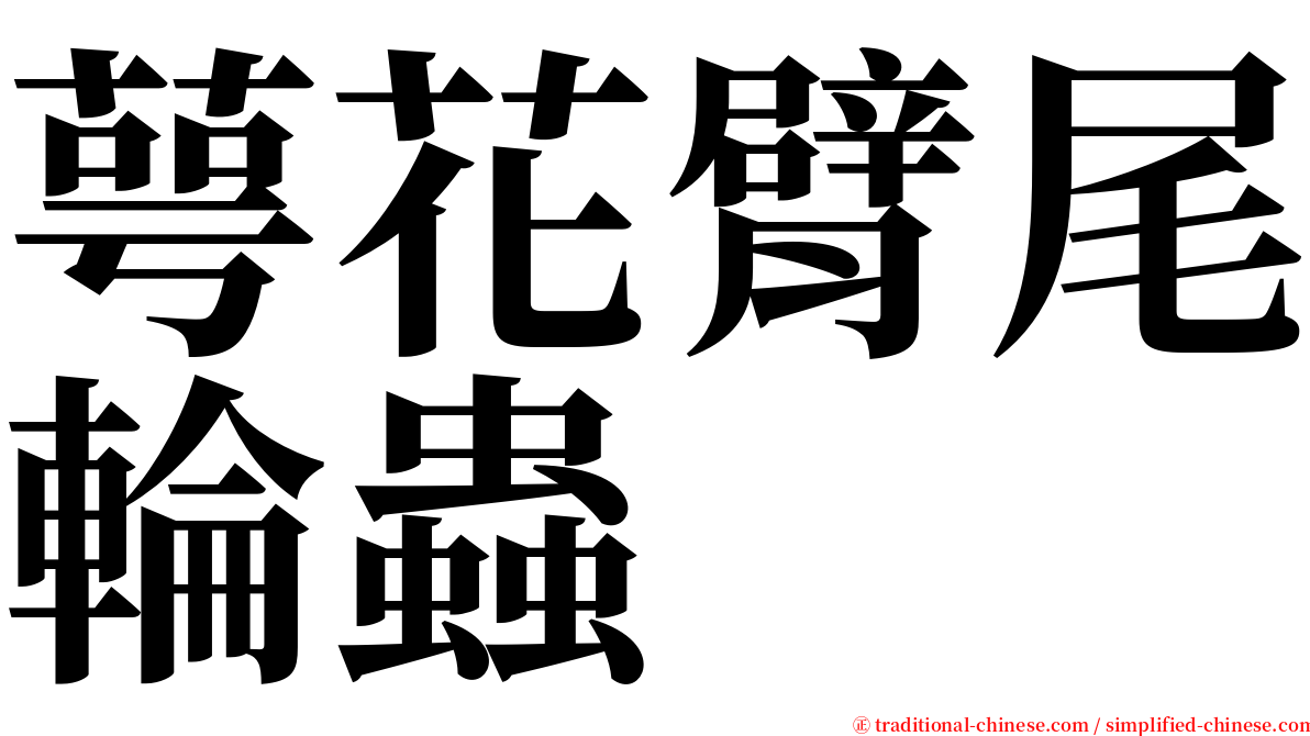 萼花臂尾輪蟲 serif font