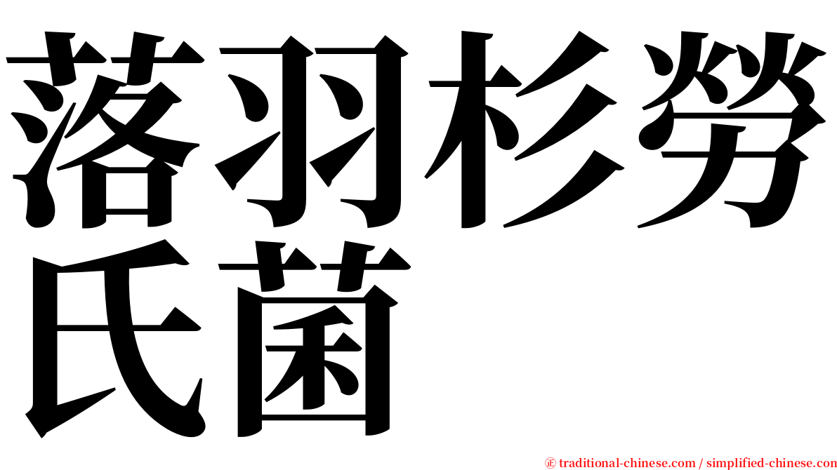 落羽杉勞氏菌 serif font