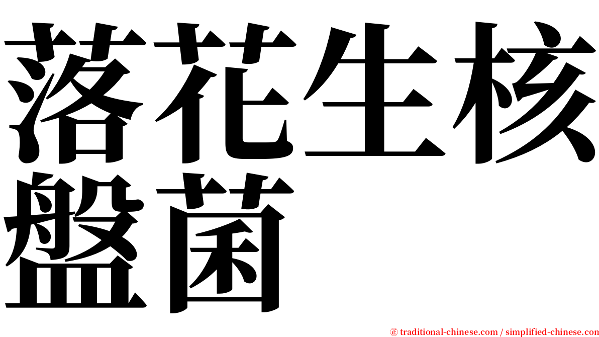 落花生核盤菌 serif font