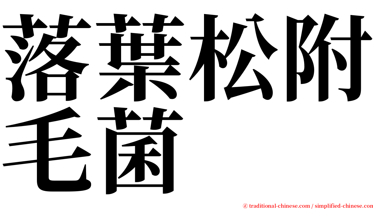 落葉松附毛菌 serif font