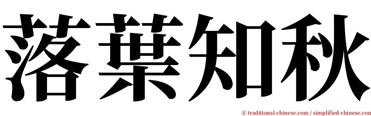 落葉知秋 serif font