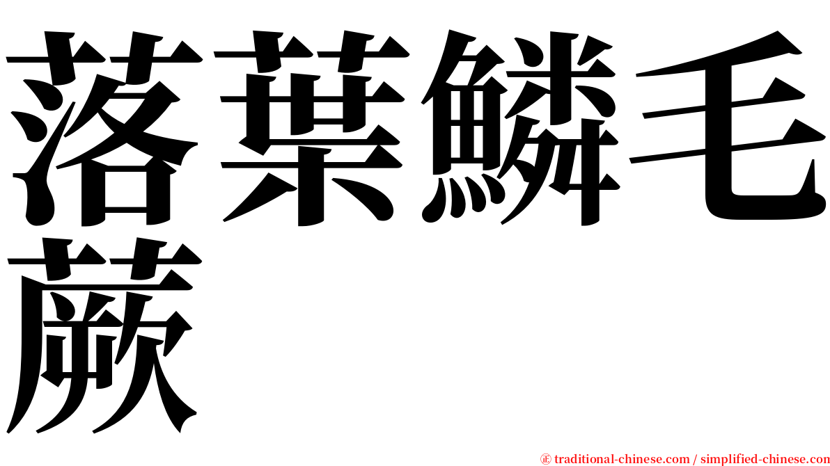 落葉鱗毛蕨 serif font