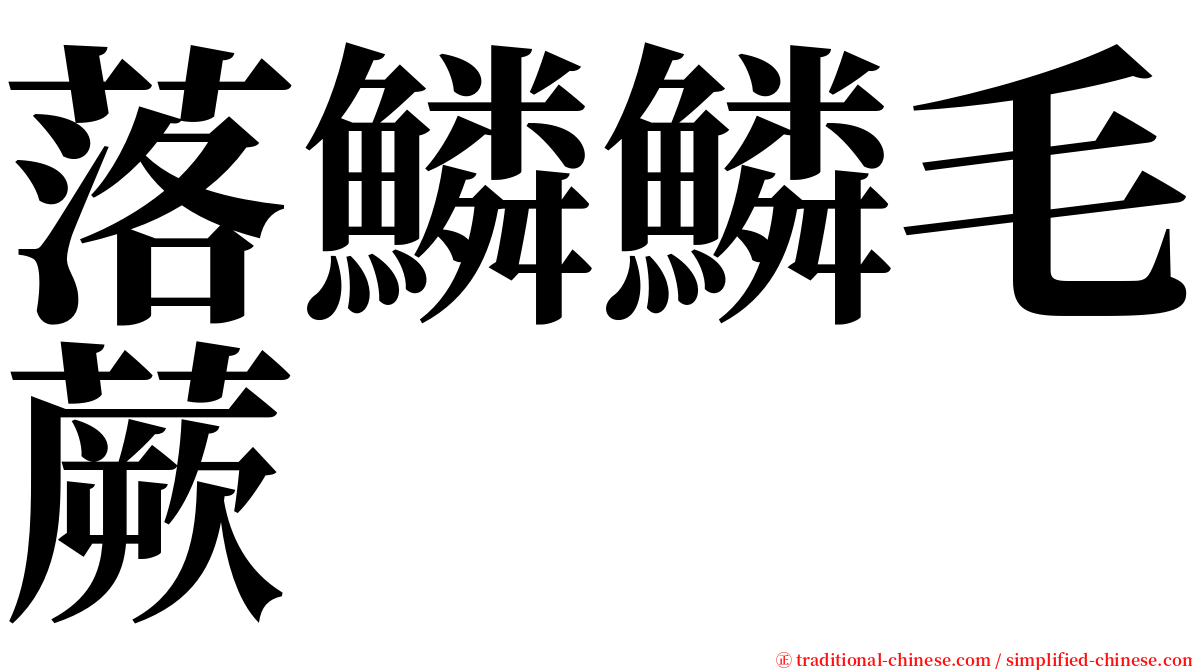 落鱗鱗毛蕨 serif font