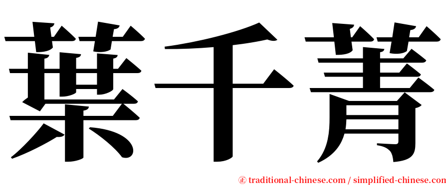 葉千菁 serif font