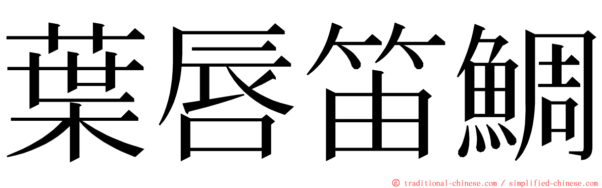 葉唇笛鯛 ming font