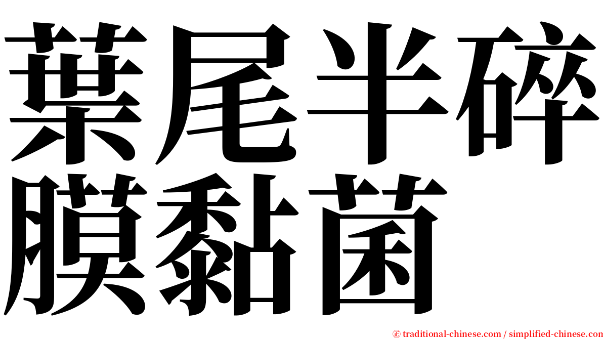 葉尾半碎膜黏菌 serif font