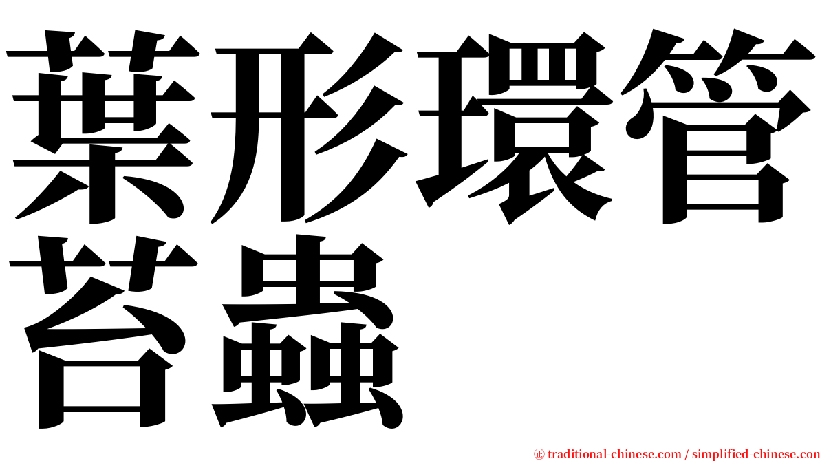 葉形環管苔蟲 serif font