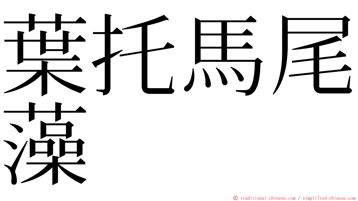 葉托馬尾藻 ming font