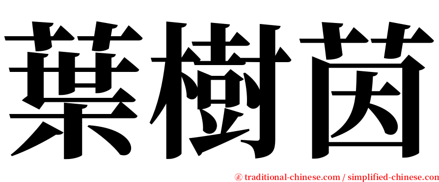 葉樹茵 serif font