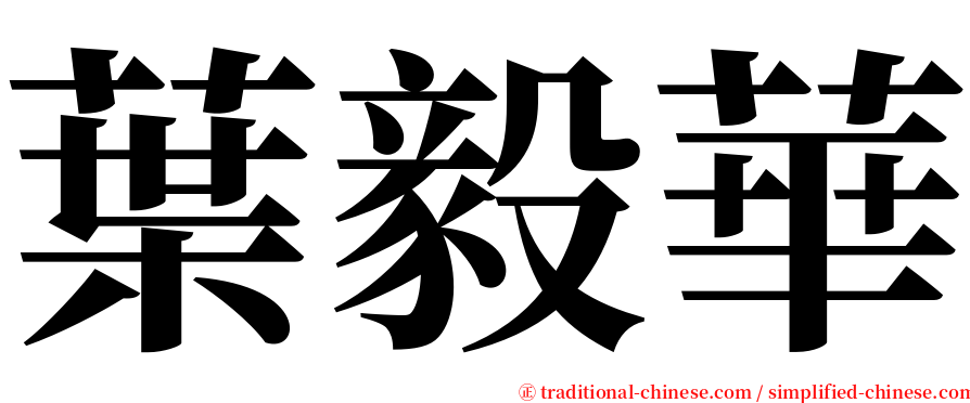 葉毅華 serif font