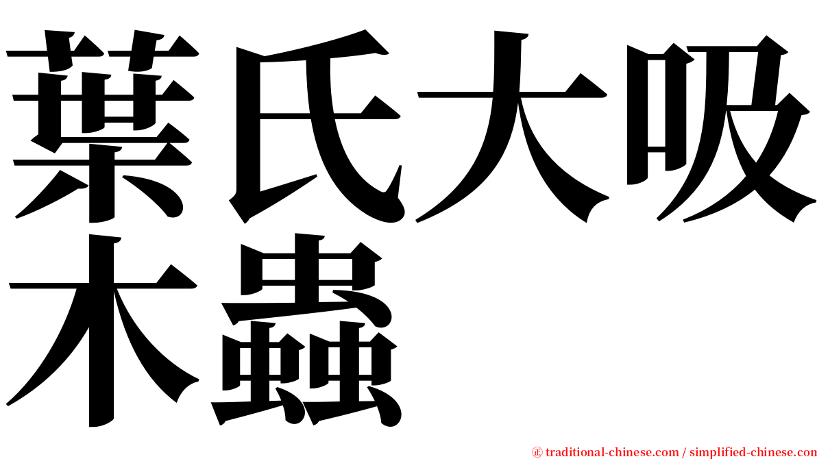 葉氏大吸木蟲 serif font