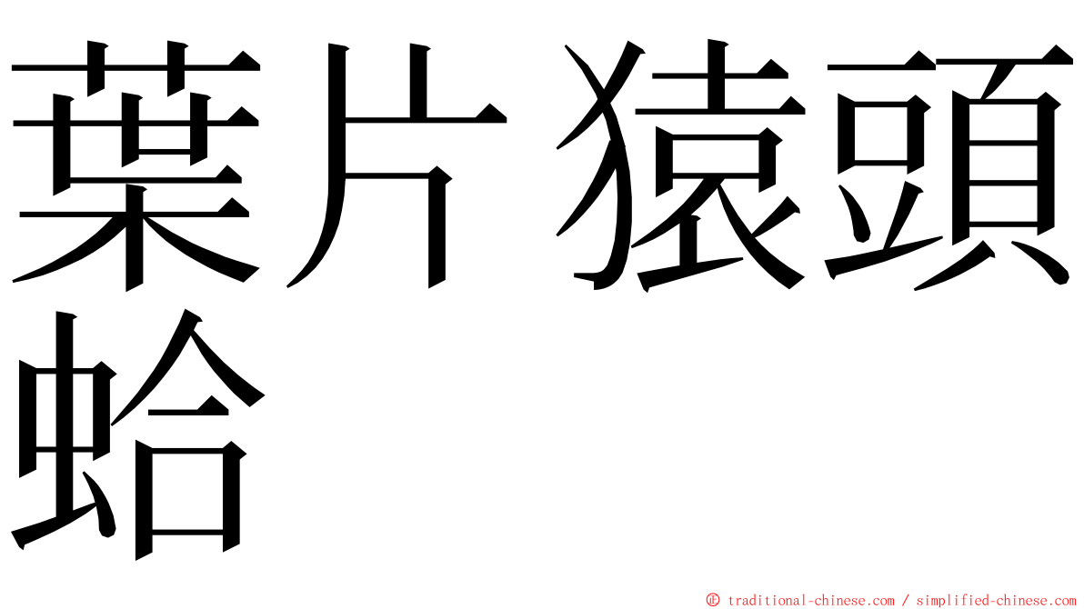 葉片猿頭蛤 ming font