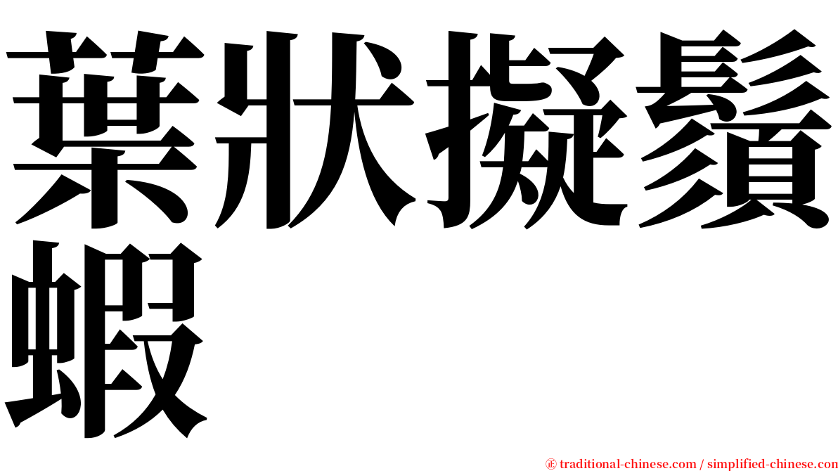 葉狀擬鬚蝦 serif font