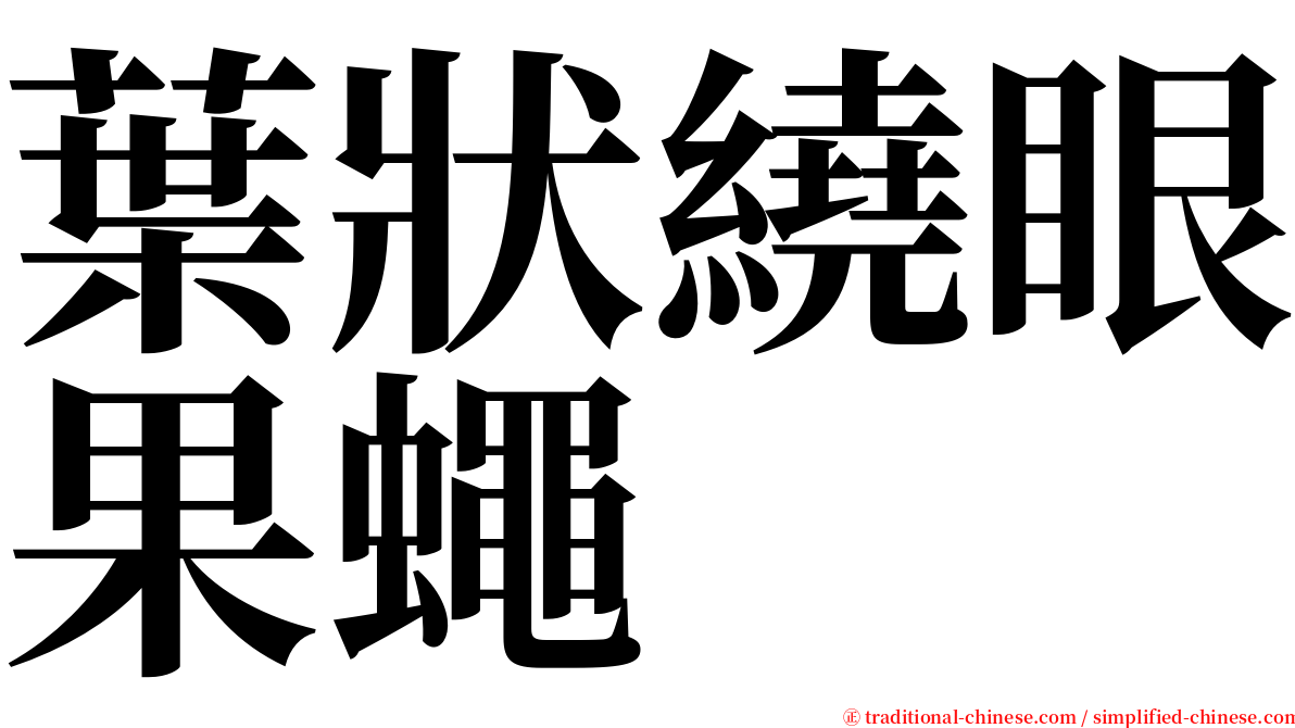 葉狀繞眼果蠅 serif font