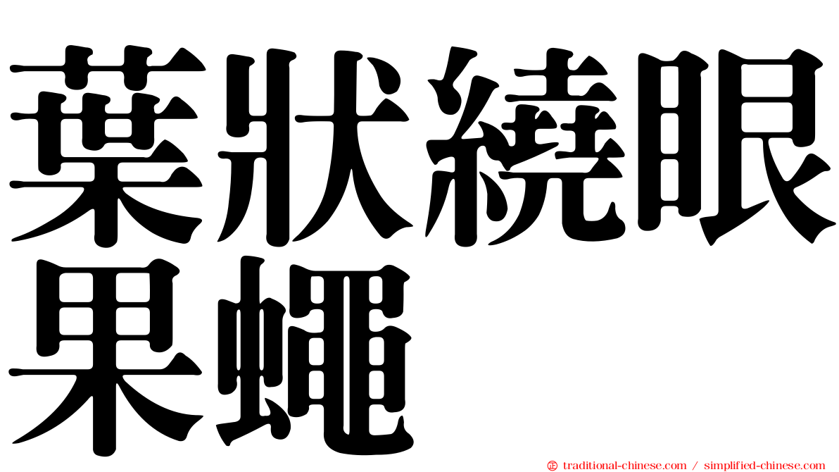 葉狀繞眼果蠅
