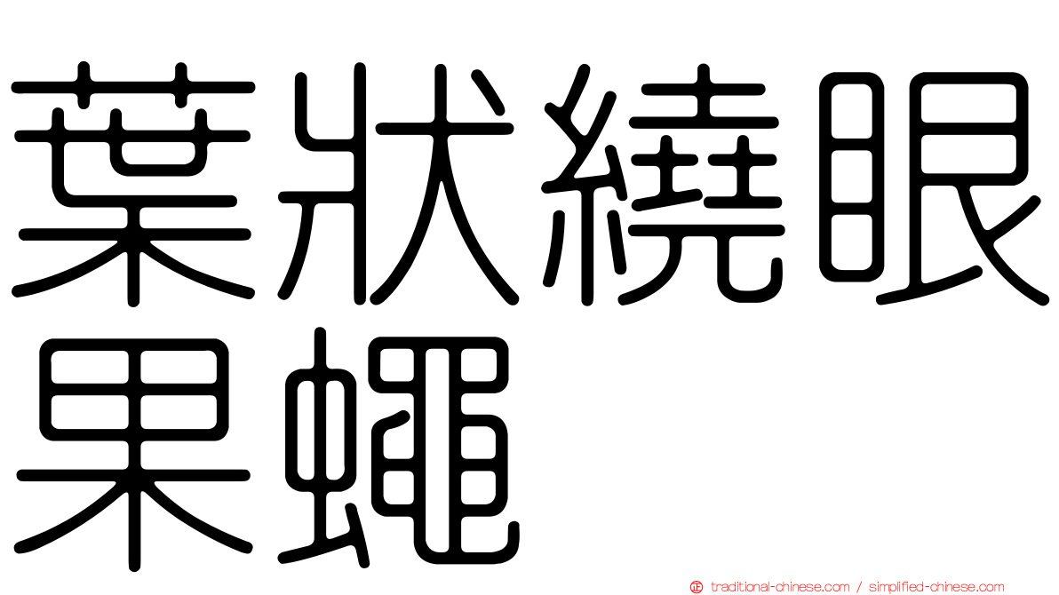 葉狀繞眼果蠅