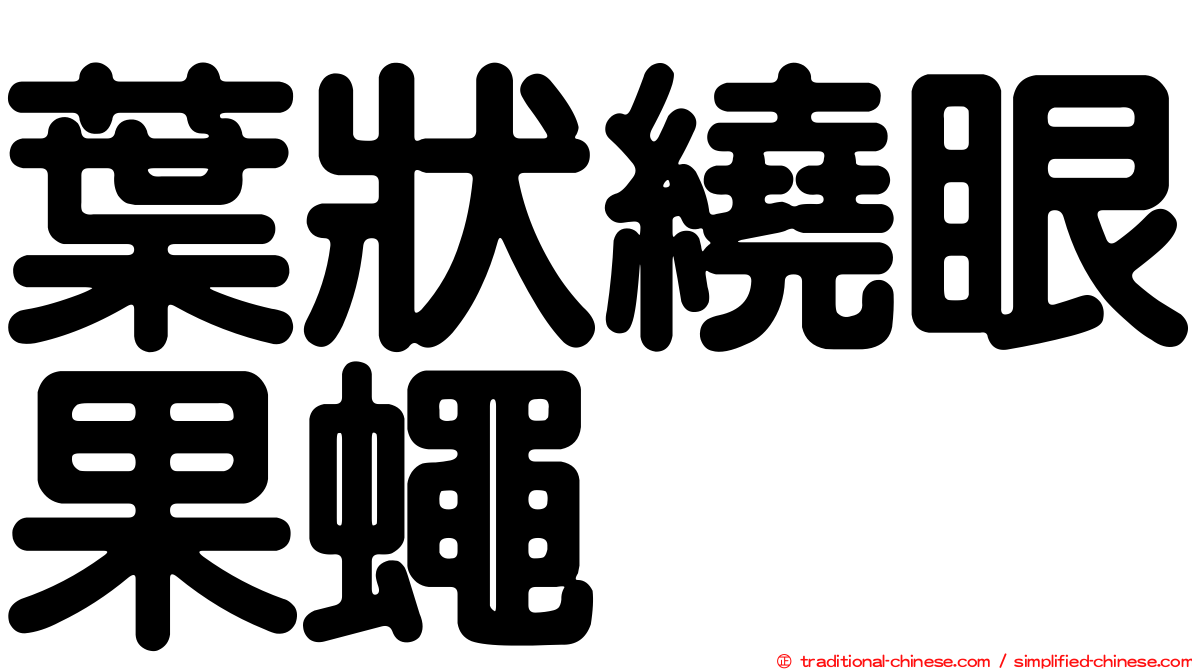 葉狀繞眼果蠅