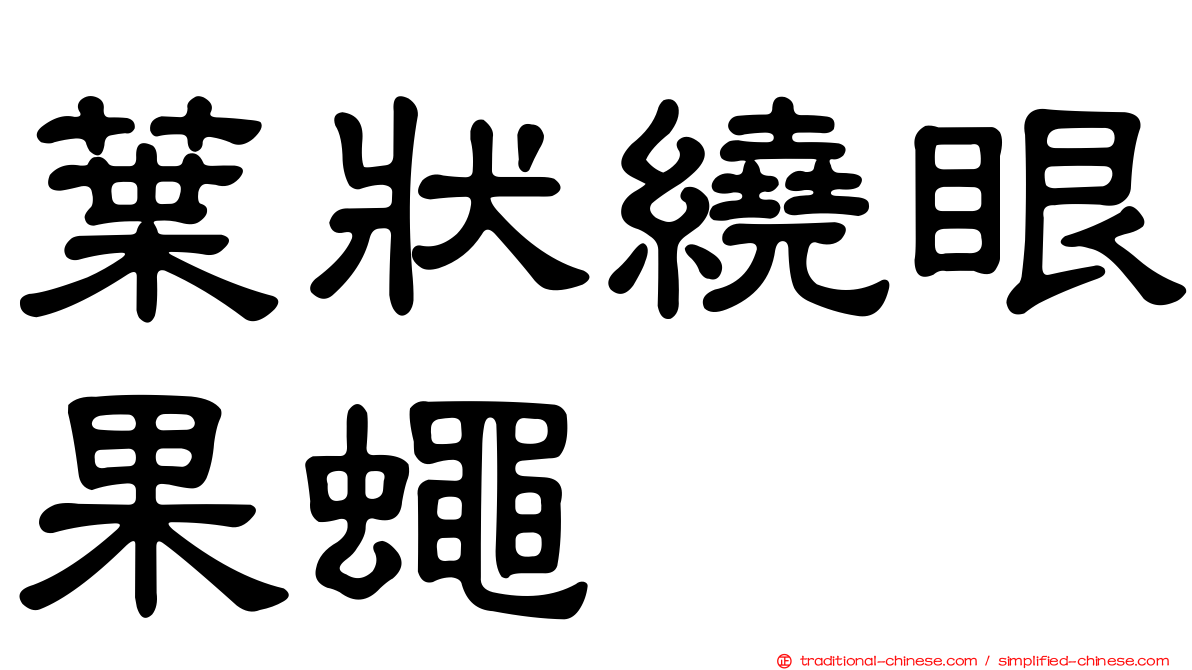 葉狀繞眼果蠅