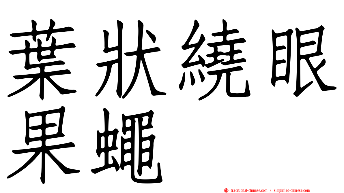 葉狀繞眼果蠅