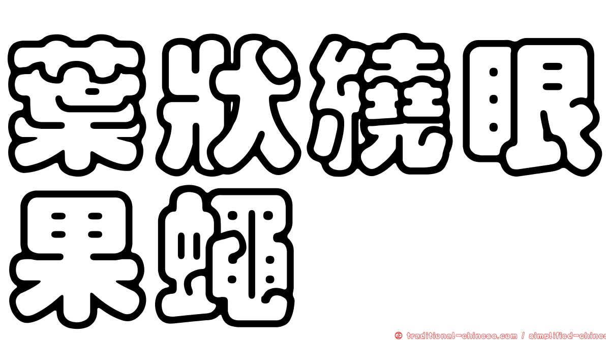 葉狀繞眼果蠅