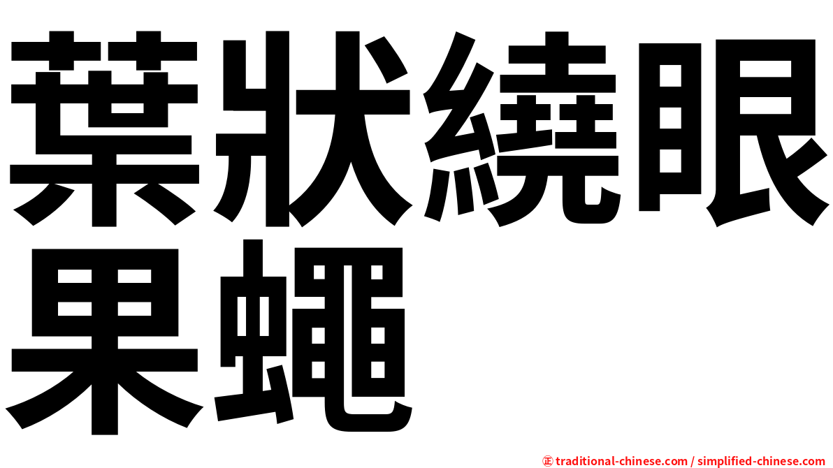 葉狀繞眼果蠅