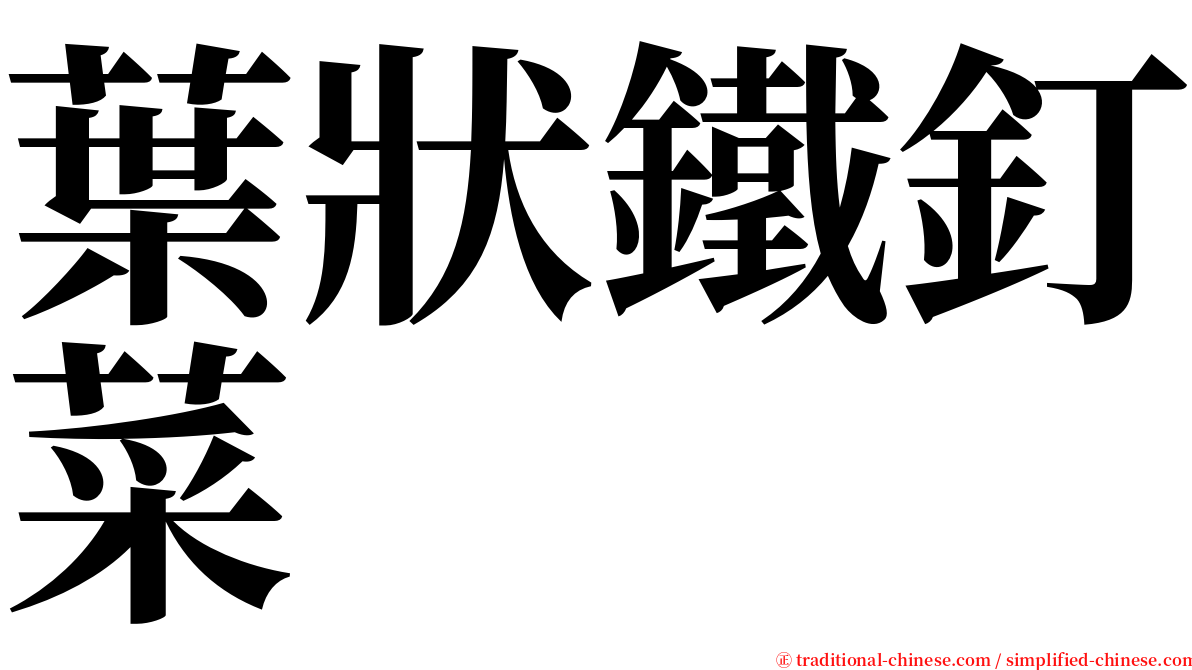 葉狀鐵釘菜 serif font