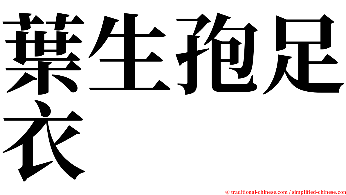 葉生孢足衣 serif font