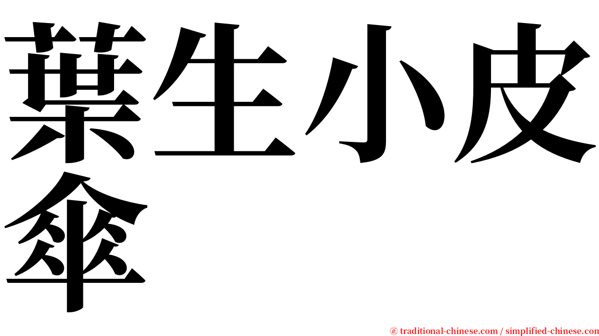 葉生小皮傘 serif font