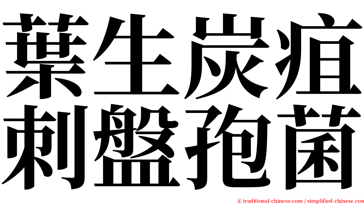 葉生炭疽刺盤孢菌 serif font