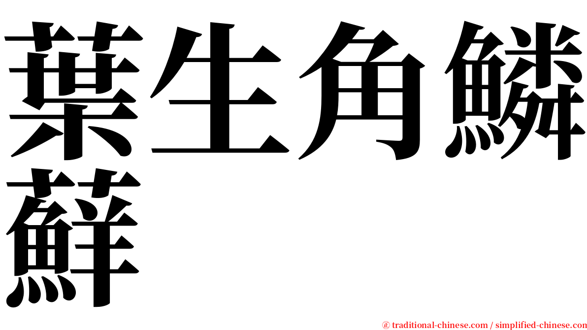 葉生角鱗蘚 serif font